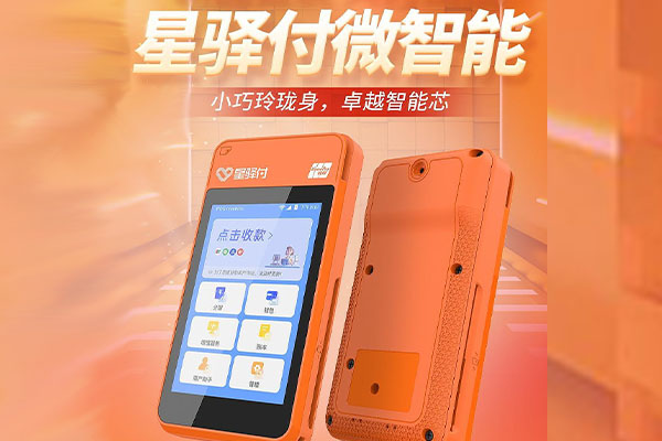 文安国通微电签POS机